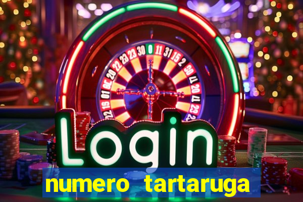 numero tartaruga jogo do bicho